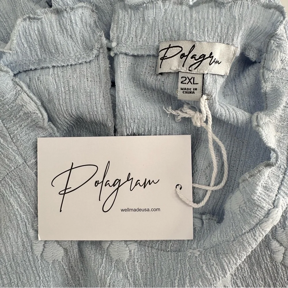 Polagram Light Blue Textured Floral Short Sleeve Top size 2X High Neck NWT